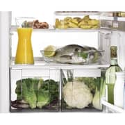 Xavax Digital Refrigerator/Freezer Thermometer White