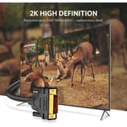 Ugreen DVI-D 24+1 Dual Link Video Cable 2m Black