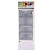 Nobel Showcase Chiller 250 Litres NSF245