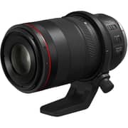 Canon RF 100mm F/2.8L IS Macro USM Lens