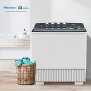 Hisense Twin Tub Washing Machine 20kg WSBE201