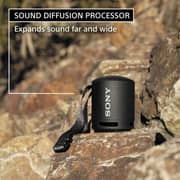 Sony Extra Bass Portable Wireless Speaker Black