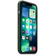 Apple Leather Case with MagSafe Sequoia Green iPhone 13 Pro