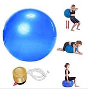 Gym Ball (exercise Ball) Size 65