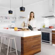 Electrolux Handheld Vacuum Cleaner Silver ZB6214IGM