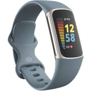 Fitbit Charge 5 Activity Tracker Steel Blue/platinum