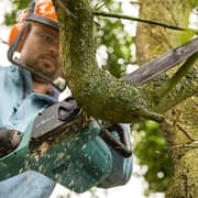 Bosch 06008B8370 Chainsaw 1800W