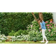 Bosch 06008C1H70 Grass Cutter 280W