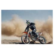 DJI Action 2 Dual-Screen Combo Grey