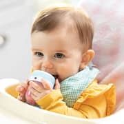 Nutribullet Baby Food Blender 1812