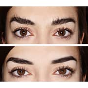 Hollywood Browzer Duo Passion Pink and Black