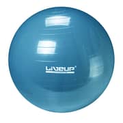 Liveup Gym Ball Ls3221-65