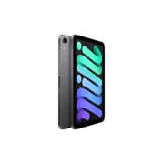 iPad Mini 2021 Tablet 6th Gen 4GB 64GB WIFI 8.3inch Space Gray