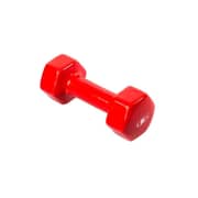 Bjm Weight Dumbbells 4kg