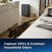 Bissell Activated Carbon Filter Replacement Black