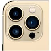 Apple iPhone 13 Pro Max (256GB) - Gold