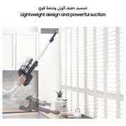 Samsung Jet 60 Stick Cordless Vacuum Cleaner Violet VS15A6031R4/SG