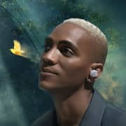 Anker A39520A1 Soundcore Liberty 3 Pro In Ear TWS Earbuds Gray