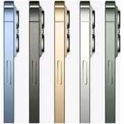 أبل أيفون 13 برو ماكس 512 جيجابايت أخضر ألباين مع فيس تايم - إصدار الشرق الأوسط طلب مسبق