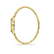 Omax Watches For  Women Metal Analog   00jed026g002