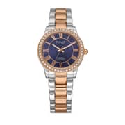 Omax Watches For Women Metal Analog 00jed022n004