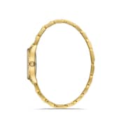 Omax Watches For Women Metal Analog 00jed026g001