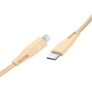 Ravpower USB Type C to Lightning Cable 2m Gold