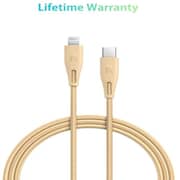 Ravpower USB Type C to Lightning Cable 2m Gold