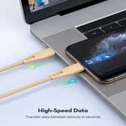 Ravpower USB Type C to Lightning Cable 2m Gold