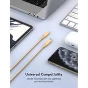 Ravpower USB Type C to Lightning Cable 2m Gold