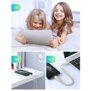 Ravpower USB Type C to Lightning Cable 2m Gold