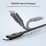 Ravpower USB Type C to Lightning Cable 2m Black