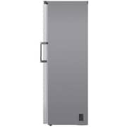 LG Upright Freezer 324 Litres GR-B414ELFM