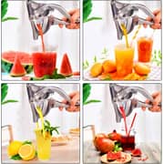 Lavish Manual Juicer Stainless Steel Heavy-duty Hand Pressed Fruit And Vegetable