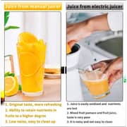 Lavish Manual Juicer Stainless Steel Heavy-duty Hand Pressed Fruit And Vegetable