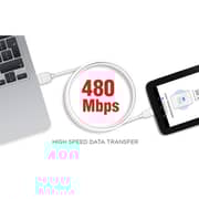 Intex USB Type-C Cable 1m Assorted