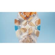 Philips Replacement Toothbrush Heads HX9092/67