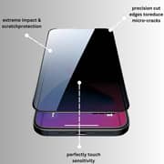 Smart Alien Privacy Screen Protector Black iPhone 13