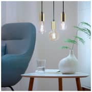 WIZ Filament Amber A60 E27 920-50 Amb 1PF/6 Light Bulb 50W