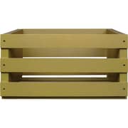 كروسلي AC1004A-SG صندوق تخزين الأقراص سيج