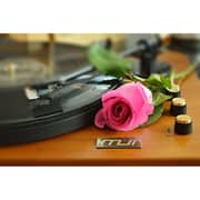 MJI MM2012 Turntable Wood