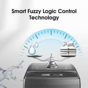 Hisense Top Load Washer 13 kg WTJA1302T