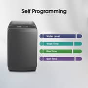 Hisense Top Load Washer 13 kg WTJA1302T