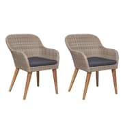 Vidaxl Outdoor Chairs With Cushions 2 Pcs Poly Rattan Brown