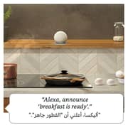 Amazon Echo Dot 4th Gen Smart Speaker with Alexa 1.6inch Charcoal