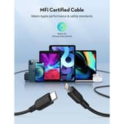 Ravpower PC170 PD 30W 2 Port Wall Charger Black