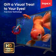Impex 32inch Gloria 32 HD LED Television (2019 Model)
