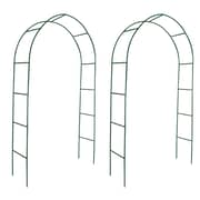 Vidaxl Garden Arch 2 Pcs Climbing Plants