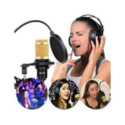 Intex Professional Legendary Vocal Condenser Microphone Black