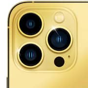 Merlin Craft Apple iPhone 14 Pro Max 256GB 24K Full Gold Series